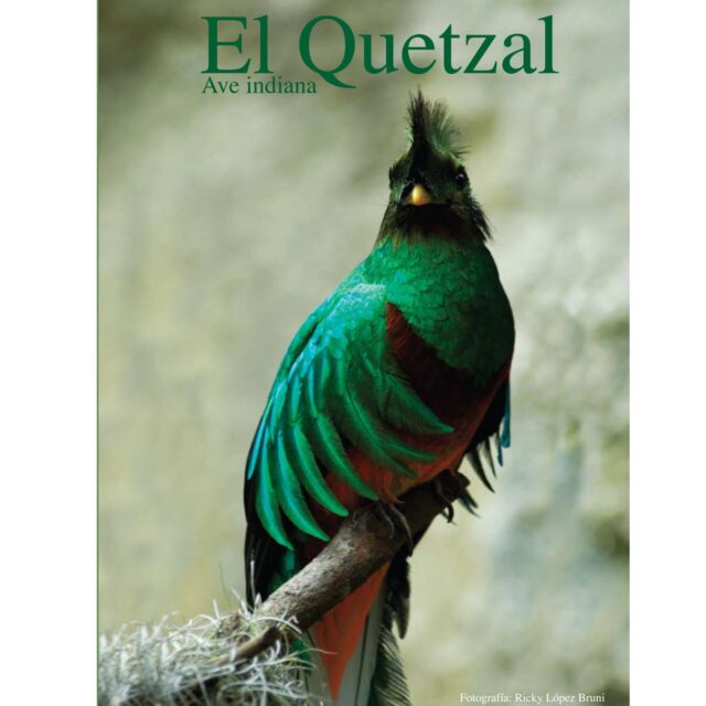 El Quetzal