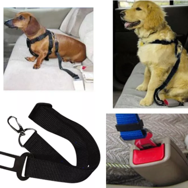 Cinturón De Seguridad Para Mascota